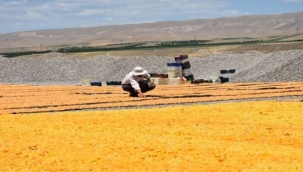 13 milyon 600 bin Euro'luk proje 