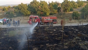 Anız yangını ormana sıçramadan söndürüldü 