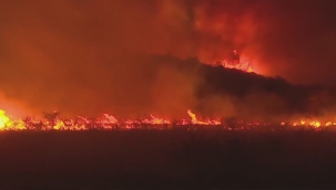 Arjantin'de 15 bin hektar ormanlık alan kül oldu