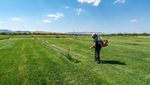 Büyükşehir'den TİGEM'de çim üretimi! 