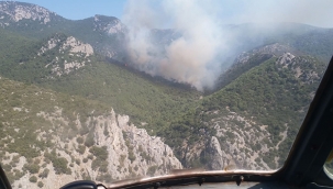 İzmir'de çıkan yangın kontrol altına alındı