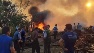 Kastamonu'da yangın: Üç ev 3 samanlık 5 ahır ve bir ambar yandı