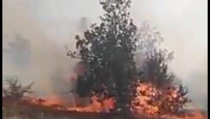 Malatya'da örtü yangını 