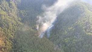 Manavgat'ta çıkan orman yangını kontrol altına alındı 
