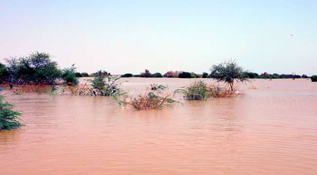 Sudan'daki sel felaketlerinde 88 kişi hayatını kaybetti 