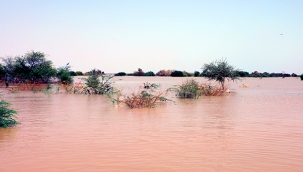Sudan'daki sel felaketlerinde 88 kişi hayatını kaybetti 