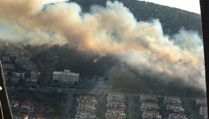 Ünlü tatil merkezi Çeşme'de yangın!