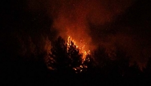 Uşak'ta çıkan orman yangını paniğe neden oldu 