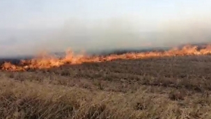 100 dönüm anız alev alev yandı 