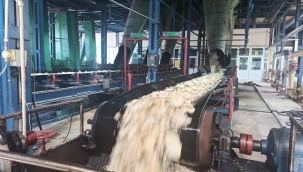 60 bin ton şeker üretimi hedefleniyor 