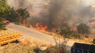 Akçadağ'da sigara izmariti yangın çıkardı 
