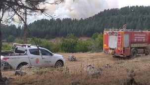 Amanoslar'daki orman yangını kontrol altına alındı 