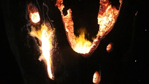 Antalya'da kırsal alan yangını kontrol altına alındı 