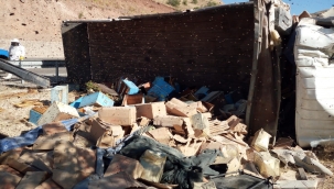 Arı yüklü kamyon devrildi: 3 ölü