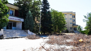 "Hastane yıkmak akıl tutulmasıdır"