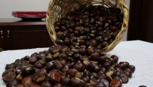 Aydın Kestanesi Avrupa Birliği'nde Coğrafi İşaret olarak tescil edildi 