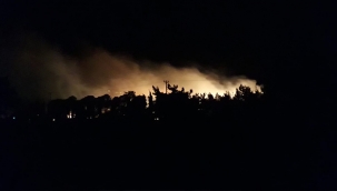 Ayvalık Beydağ'da orman yangını 
