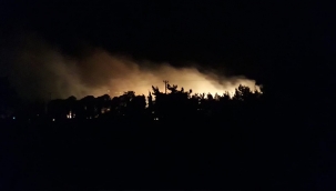 Ayvalık Beydağ'da orman yangını 