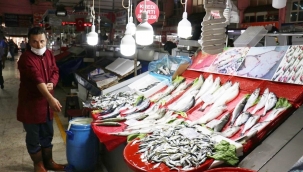 Balıkçılara sıcak hava darbesi 