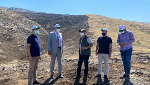 Beydağı'na 3 bin fidan dikilecek!