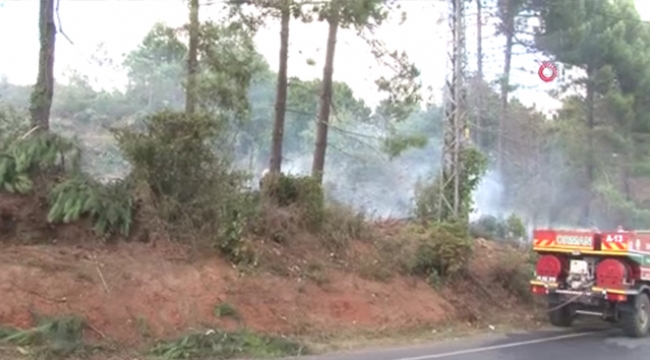 Beykoz'da ormanlık alanda korkutan yangın 
