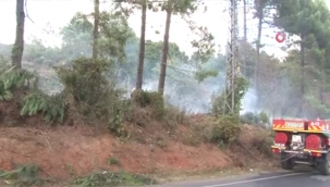 Beykoz'da ormanlık alanda korkutan yangın 