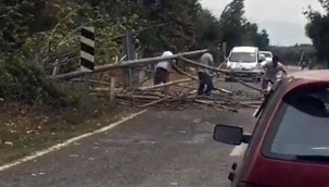 Bursa'da rüzgar ağaçları devirdi yol trafiğe kapandı
