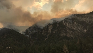 California'daki yangınlar nedeniyle 5 bölgede acil durum ilanı 