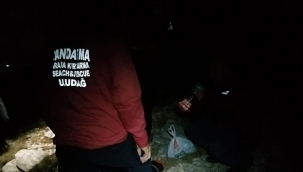 Domuz sandı arkadaşını vurdu 