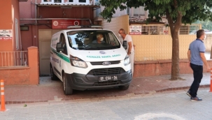 Düğünde arı sokan 7 yaşındaki çocuk öldü 