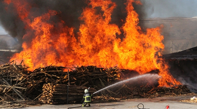 Erzincan'da kereste fabrikasında büyük yangın 