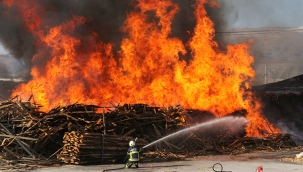 Erzincan'da kereste fabrikasında büyük yangın 