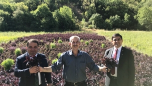 İBB'den Arapgir Belediyesi ile ortak çalışma 