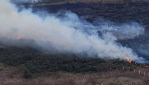 İşçileri taşıyan kamyonet ile otomobil çarpıştı: 19 yaralı 