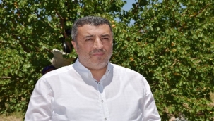 Kayısı için 'Elini değil gövdesini taşın altına koydu'