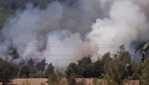 Kozan'da orman yangını çıktı 