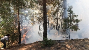 Kozan'da orman yangını çıktı 