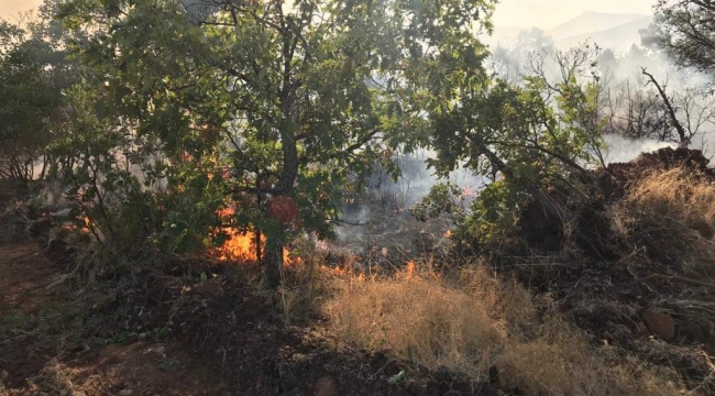 Ormanlık alandaki yangın imece usulü söndürüldü 
