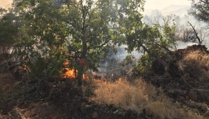 Ormanlık alandaki yangın imece usulü söndürüldü 