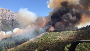  Pozantı'da orman yangını 