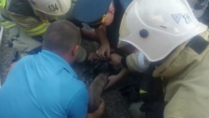 Rus itfaiyeciler köpeği hayata döndürdü 