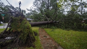 Sally Kasırgası Alabama'yı vurdu 