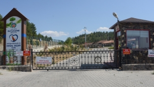 Sokak hayvanlarına şefkat eli 