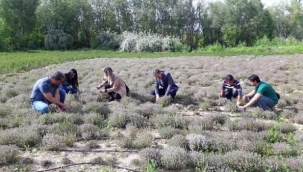 Tarımsal destekler için son başvuru 9 Ekim 