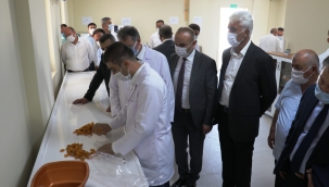 TMO ilk kayısı alımını yaptı!