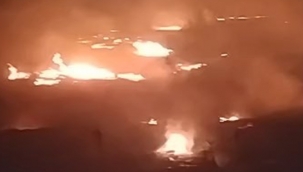 Yalova'da orman yangını yerleşim bölgesine yaklaştı 