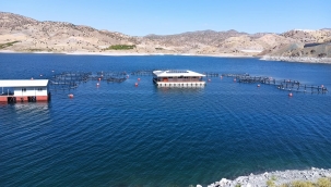 17 milyon dolar gelir elde edildi!