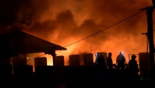 Ankara Estergon Kalesi'nde yangın! 