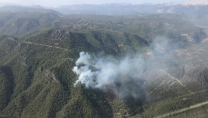 Antalya'daki yangında 10 hektarlık orman yandı 