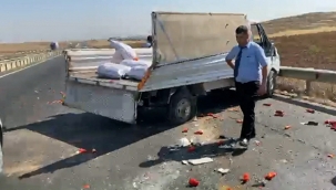 Biber yüklü kamyonet takla attı: 3 yaralı 